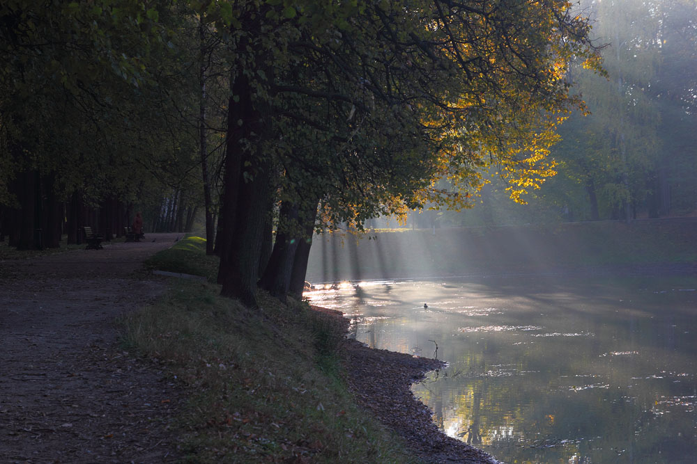 фото "Косые лучи" метки: пейзаж, вода, осень