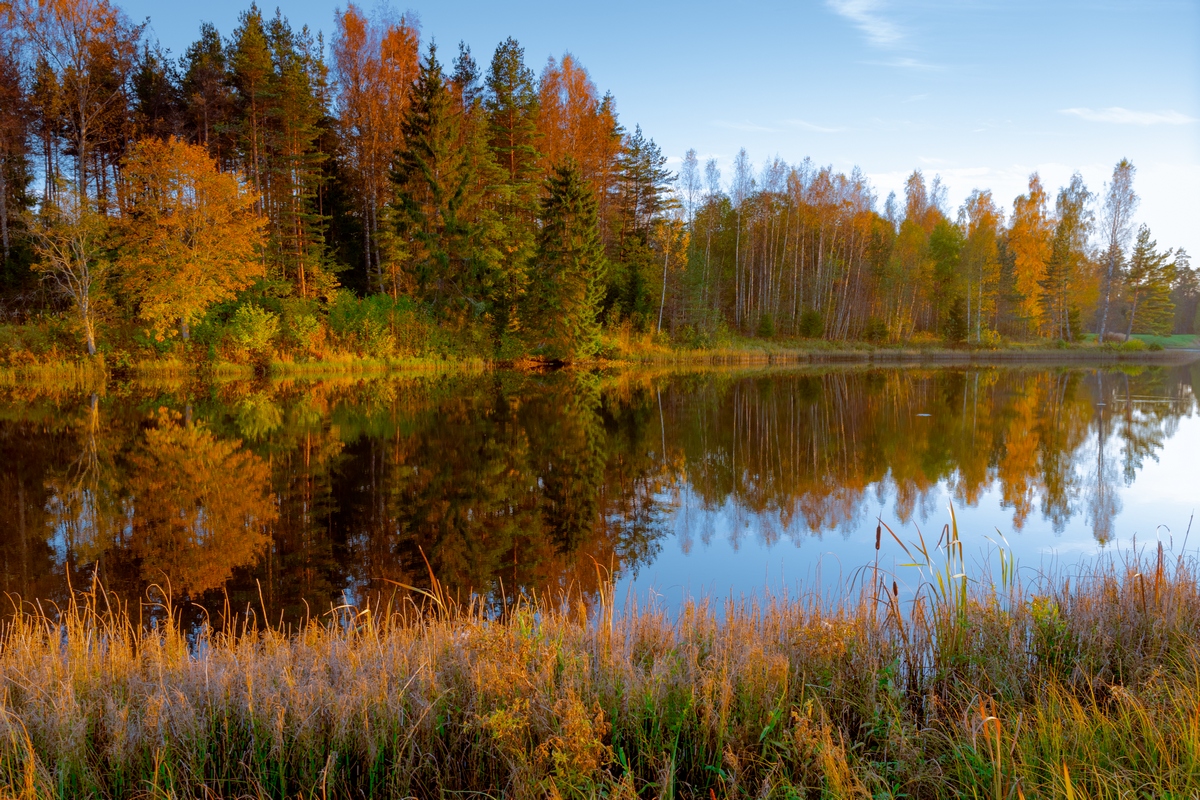 photo "***" tags: landscape, Europe, autumn, clouds, forest, water