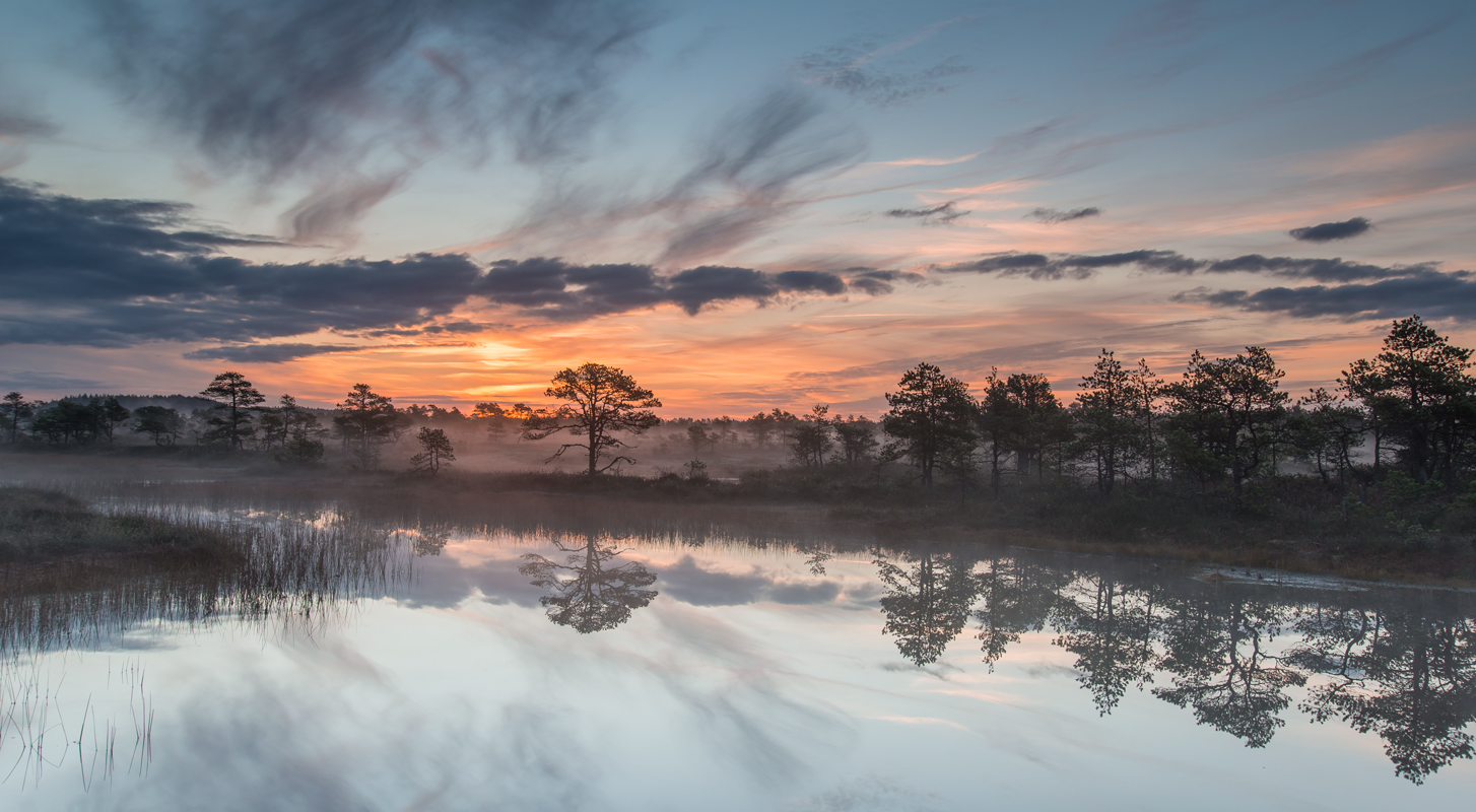 photo "***" tags: landscape, nature, bog, water