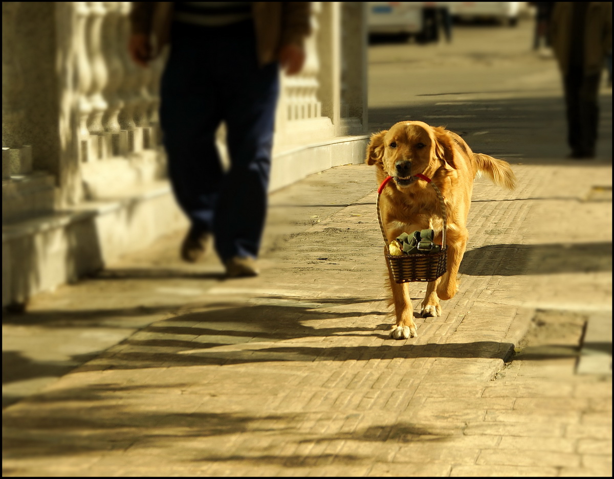 photo "***" tags: street, 