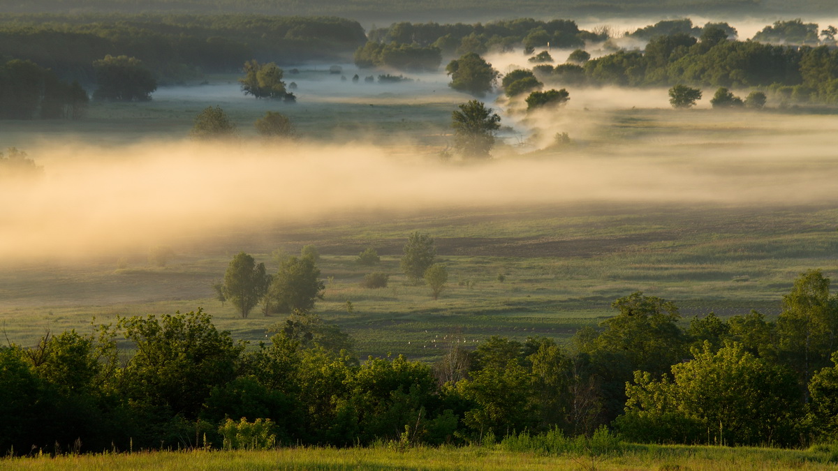 photo "***" tags: landscape, nature, 