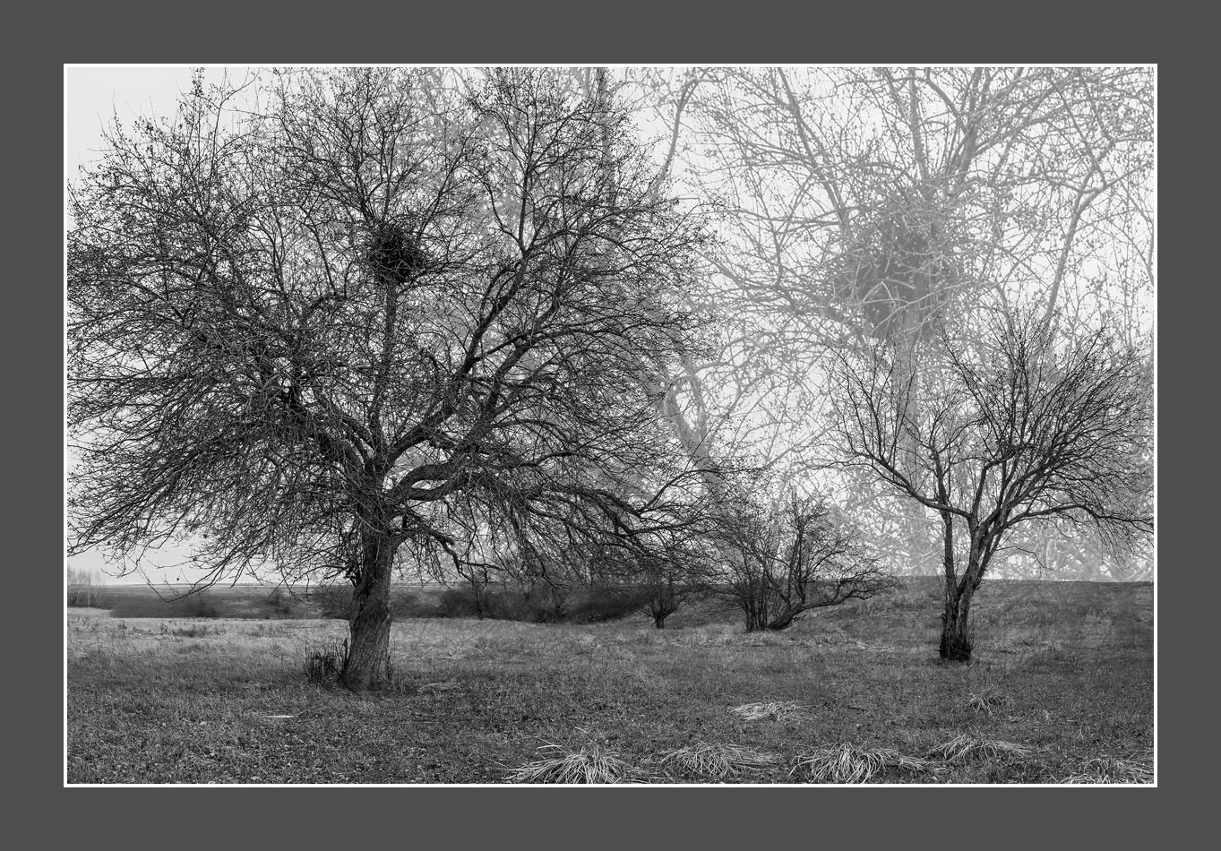 photo "***" tags: black&white, landscape, 