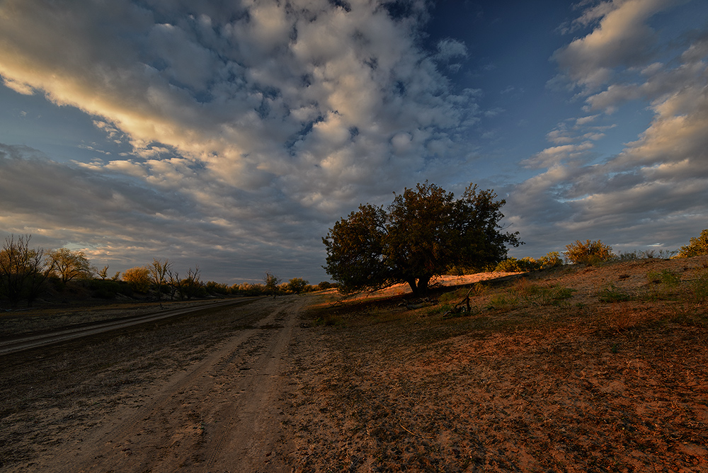 фото "Торжество осеннего заката" метки: пейзаж, природа, 