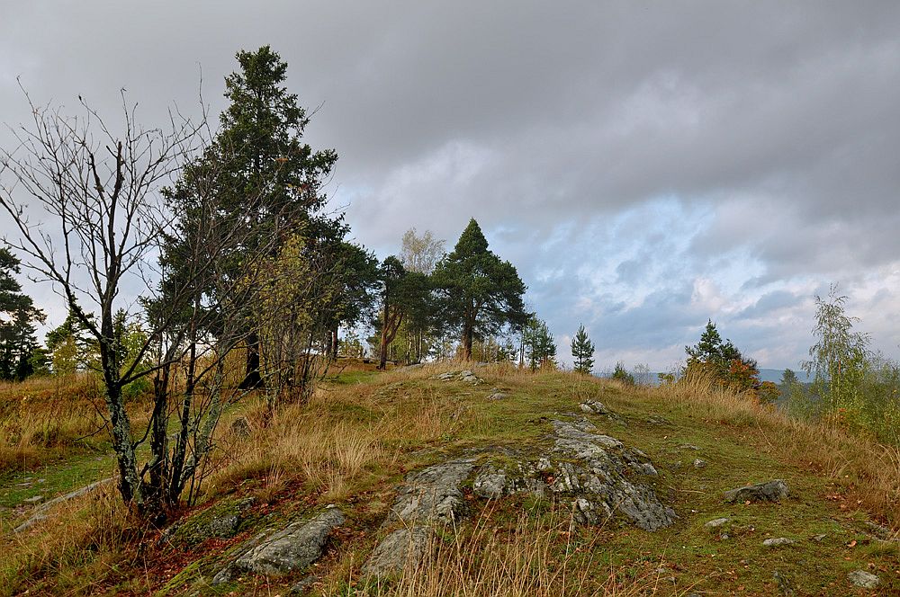 photo "***" tags: landscape, nature, Karelia, autumn