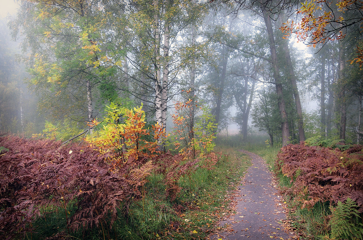 photo "***" tags: landscape, nature, 