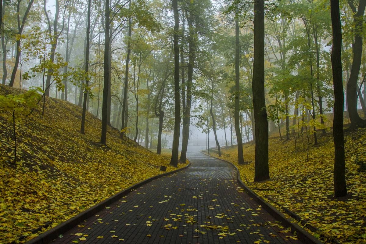 фото "Осенний парк" метки: пейзаж, 