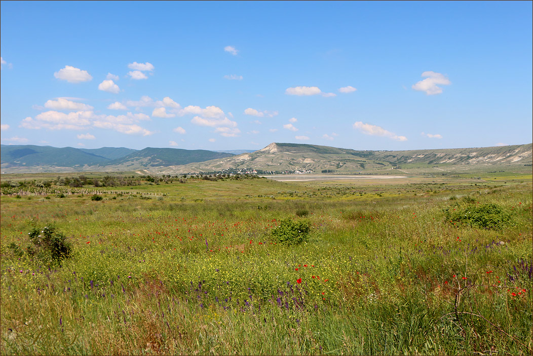 photo "Barakolskaya Valley. Dry saline Barakol. On the left part of the Karadag." tags: landscape, Crimea
