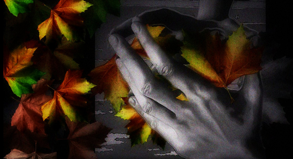 photo "Les feuilles mortes..." tags: digital art, misc., 