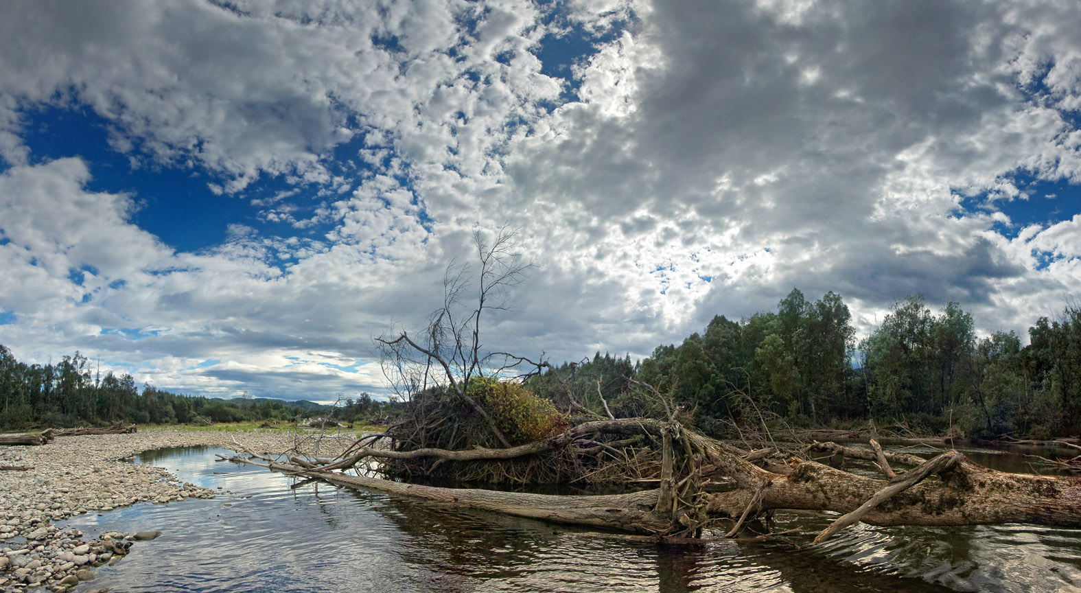 photo "***" tags: landscape, Russia, river, Хабаровский край, Хор