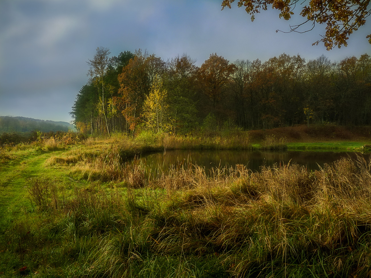 photo "***" tags: landscape, nature, autumn, coast, grass, lake, light, sun, water, листья