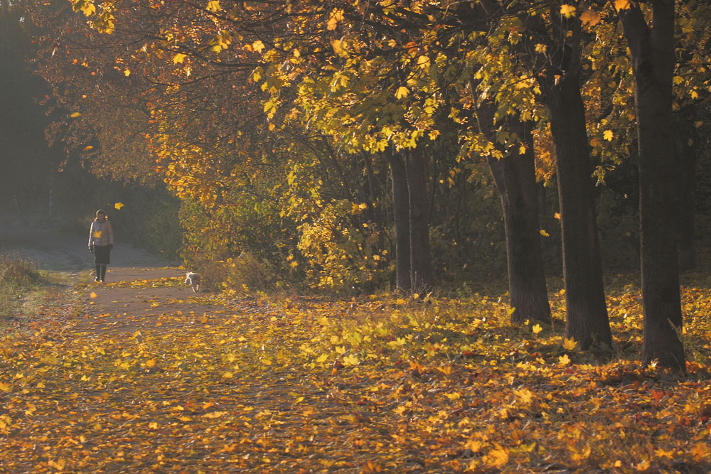 photo "***" tags: landscape, autumn