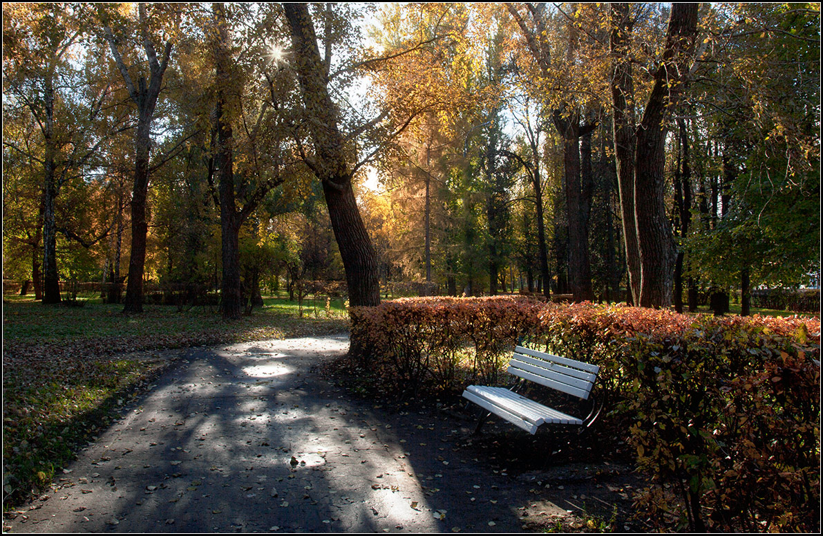 фото "последние солнечные дни" метки: город, природа, пейзаж, 