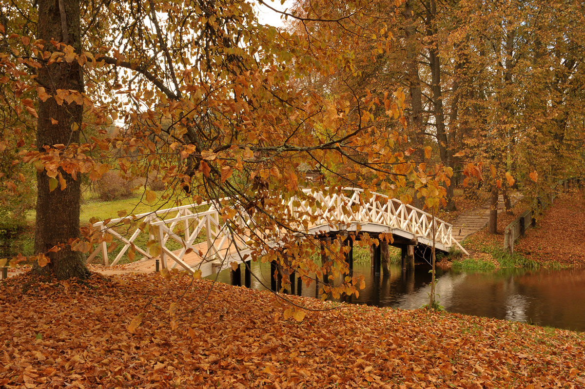 photo "***" tags: nature, Russia, autumn, родина