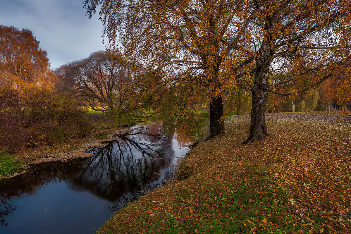 photo "***" tags: nature, autumn, reflections, water, деревья