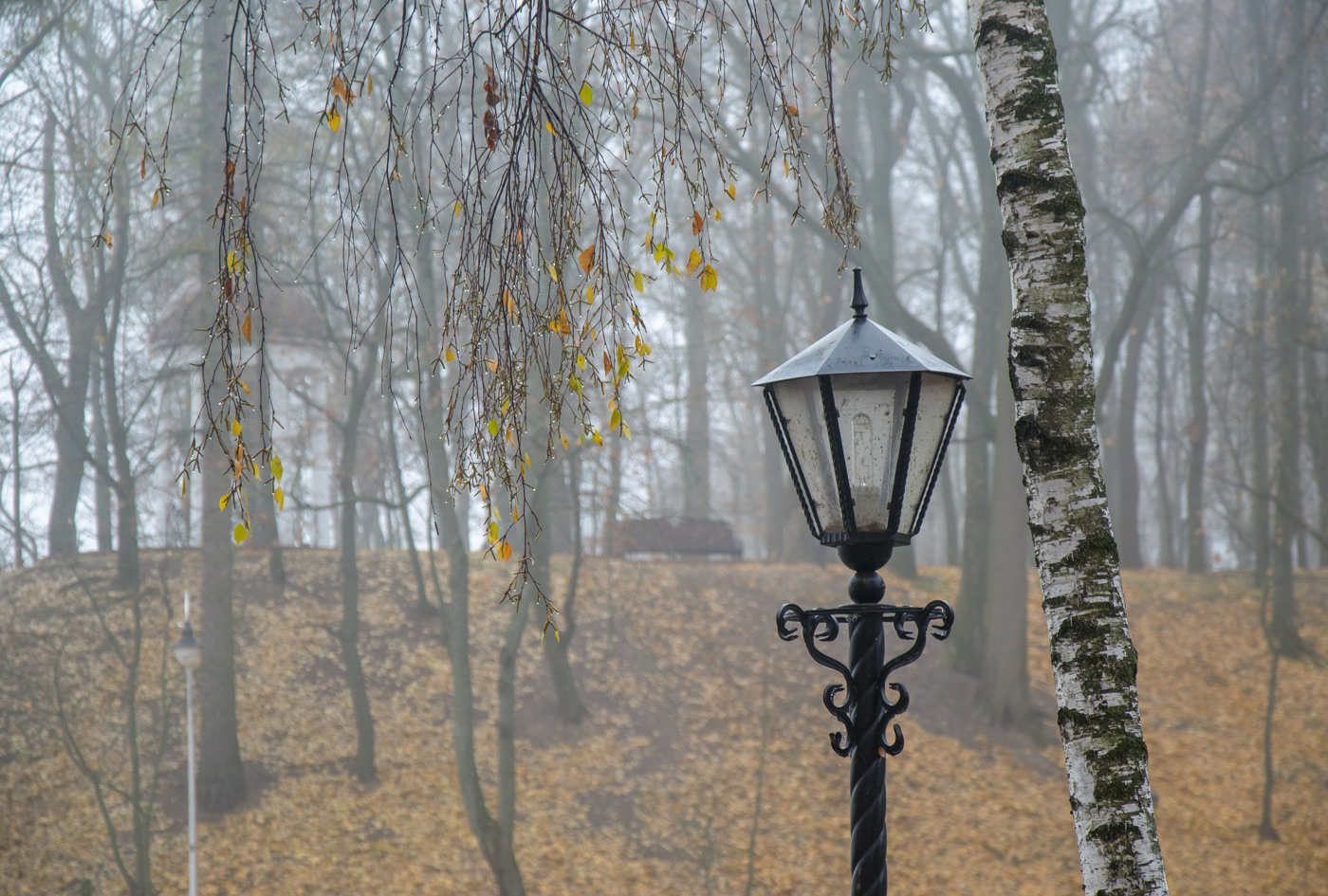фото "***" метки: пейзаж, осень, парк, туман, утро
