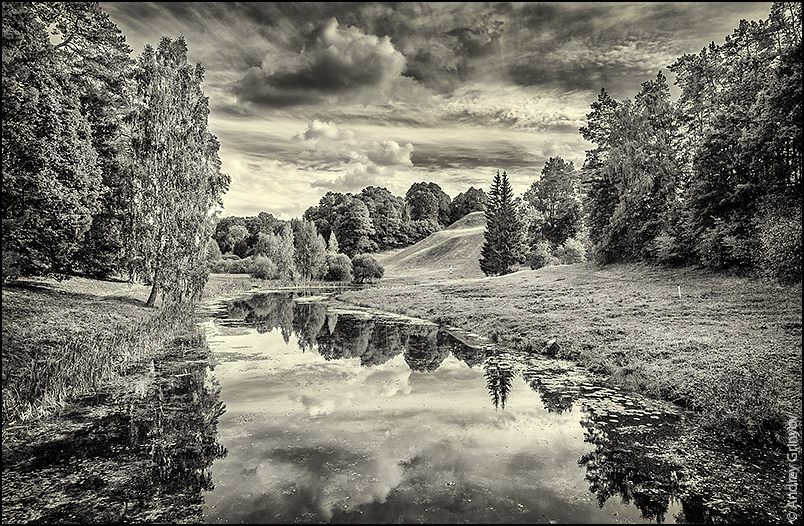 photo "..." tags: nature, black&white, landscape, bw, forest, river, summer