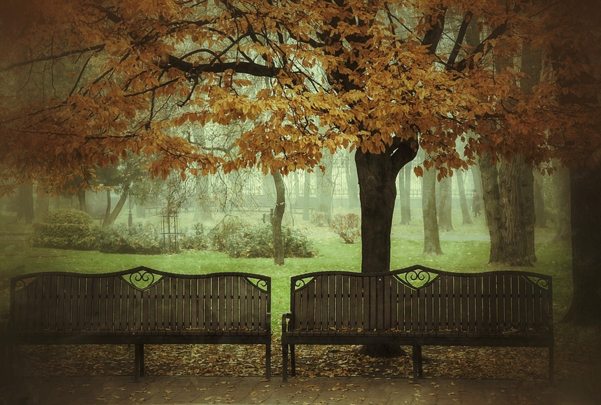 фото "Осенний парк" метки: пейзаж, 