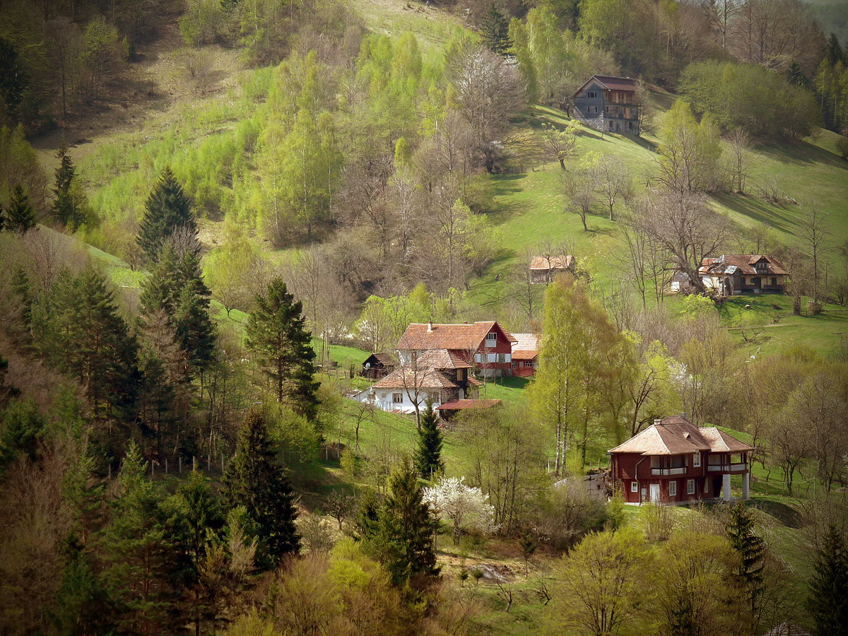 photo "***" tags: landscape, spring