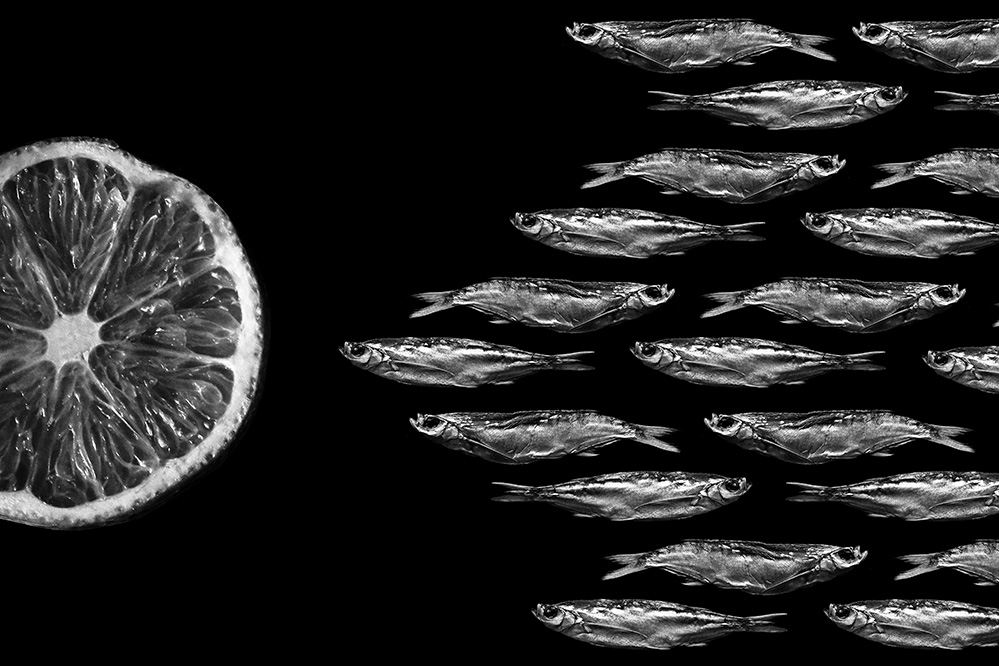 photo "***" tags: digital art, black&white, 