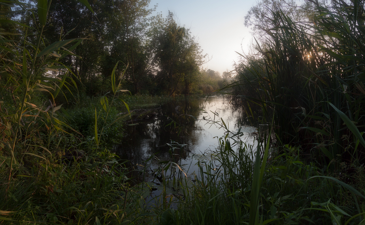 photo "***" tags: landscape, panoramic, morning, river, summer, sun