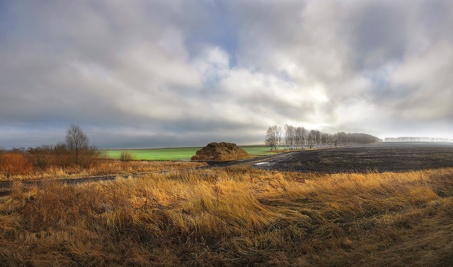 photo "***" tags: landscape, autumn, field, road