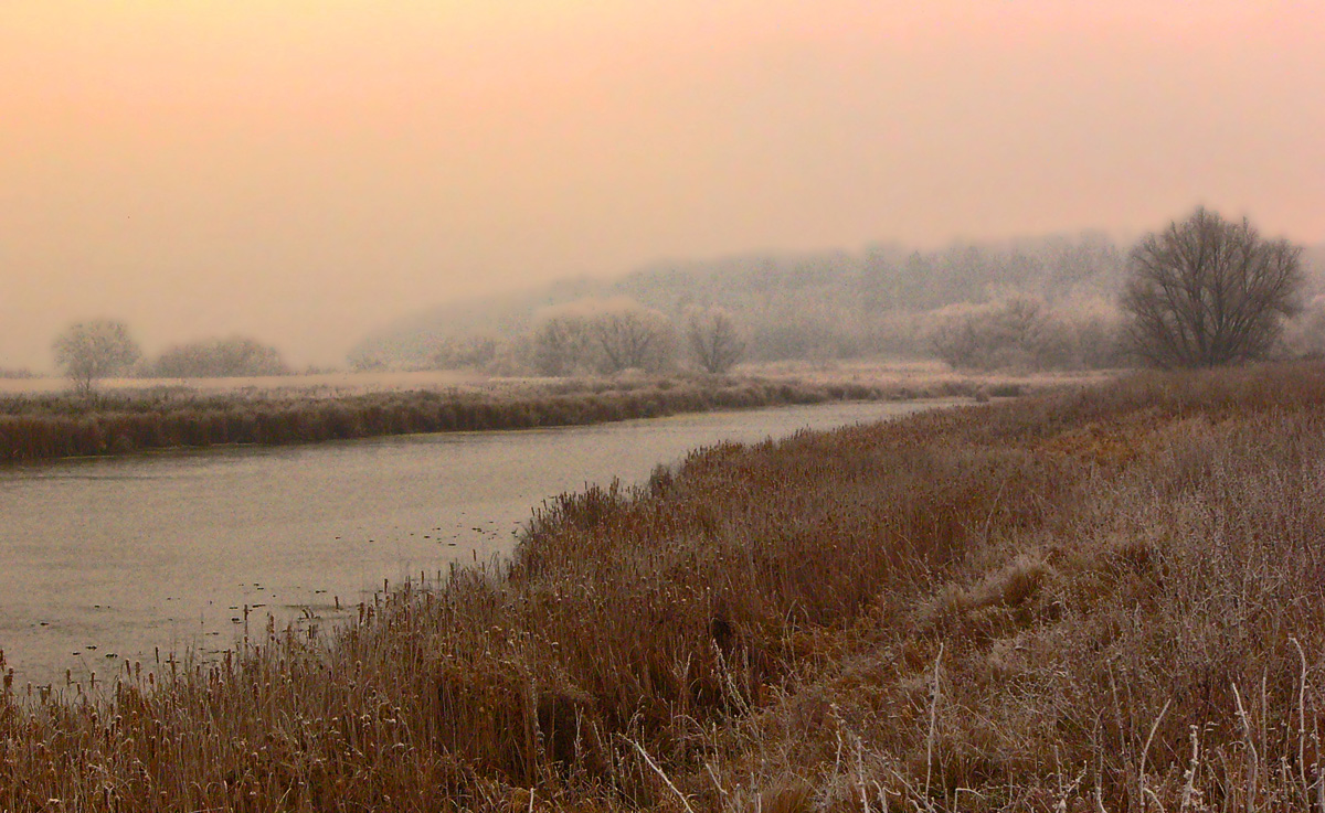 фото "Заморозки" метки: пейзаж, природа, Вышгород, Рязанская область, иней, мороз, река, река Ока