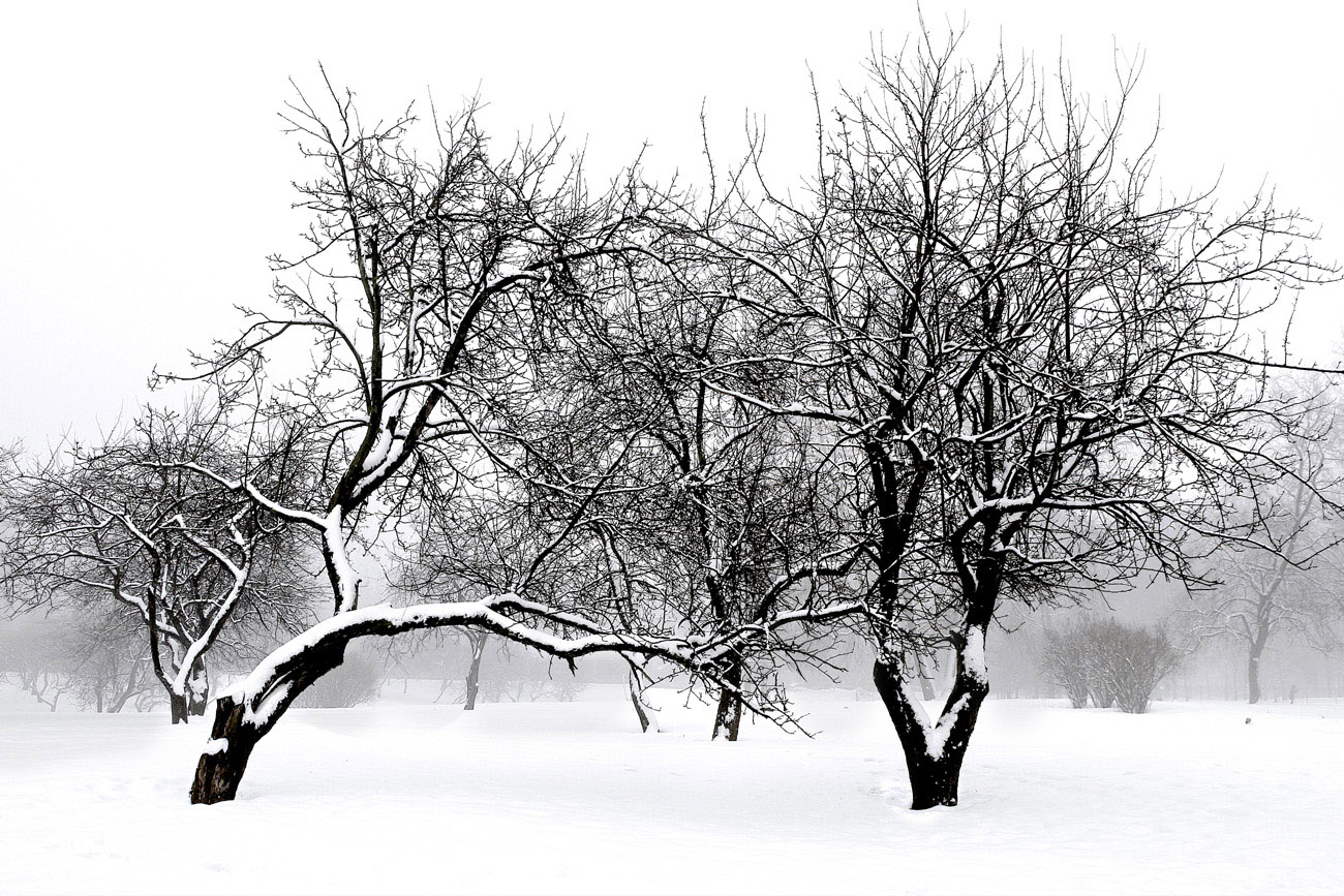 photo "***" tags: landscape, 