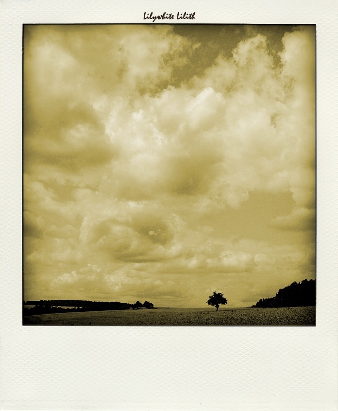 photo "the cloud watcher" tags: landscape, nature, 