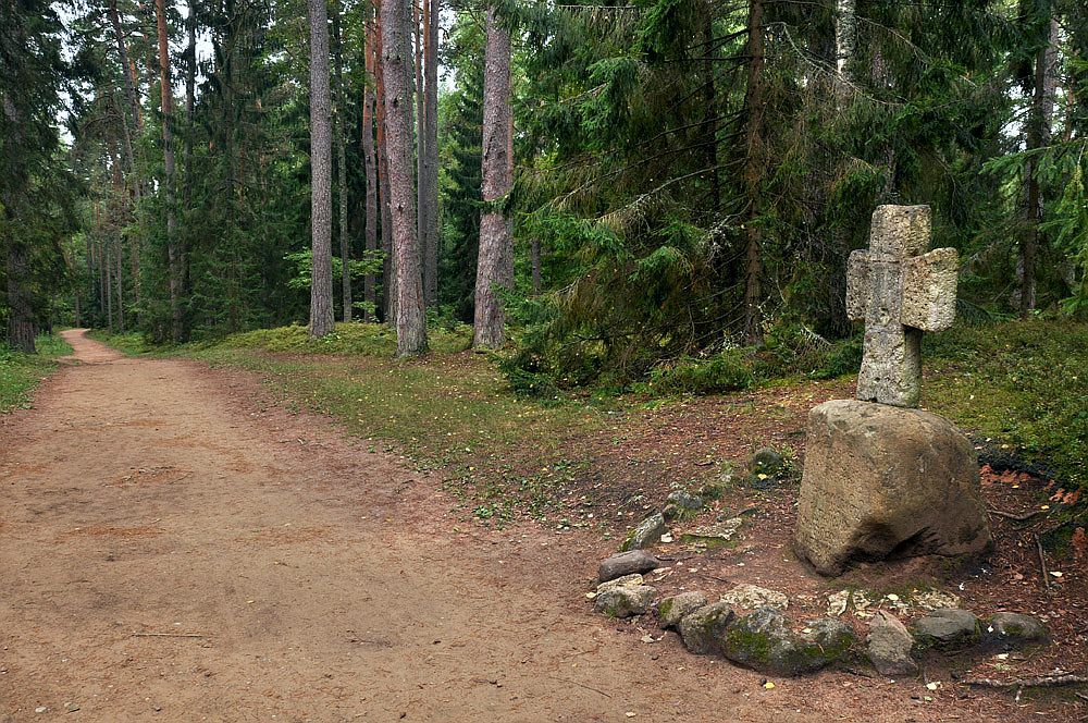 фото "по дороге в Михайловское" метки: пейзаж, природа, заповедник Пушкинские горы, лес, осень