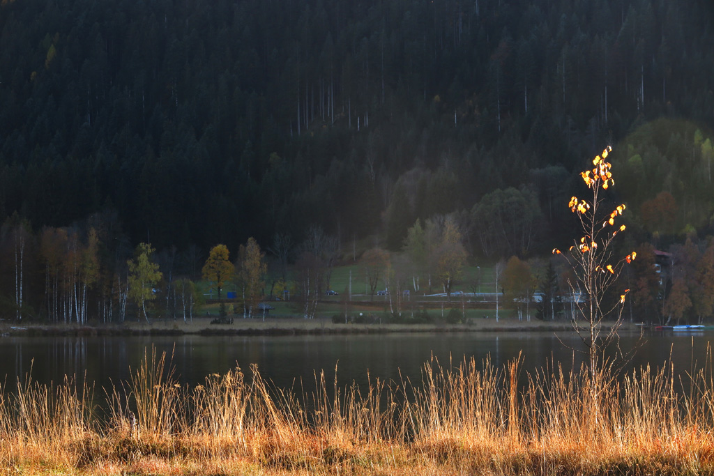 photo "2 берега озера" tags: landscape, Europe, autumn
