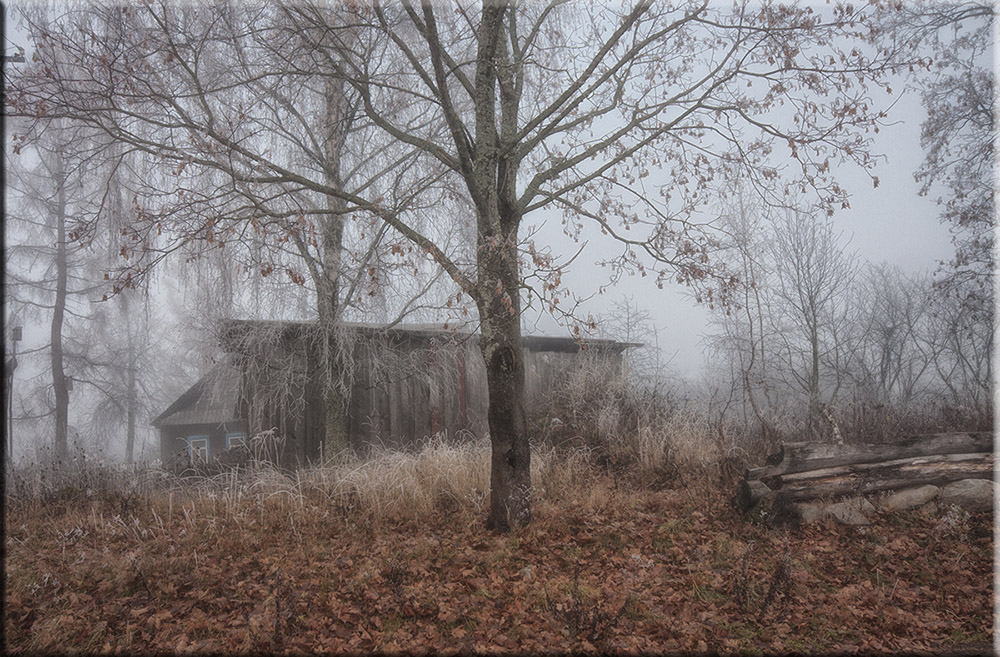 photo "***" tags: landscape, autumn, fog, деревня, дом, зарисовка