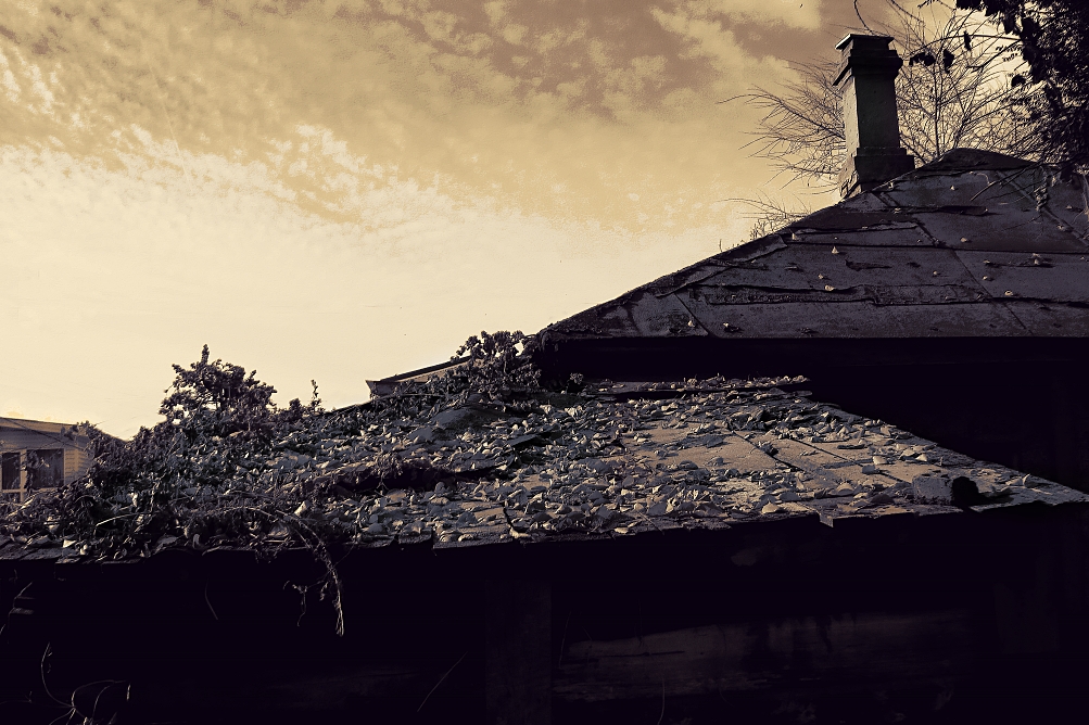 photo "delerict roofs" tags: , 