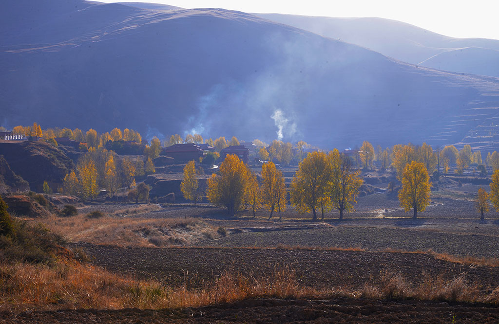 фото "morning" метки: , 