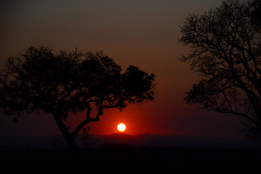 фото "Kruger National Park" метки: пейзаж, путешествия, природа, Африка, закат, зима