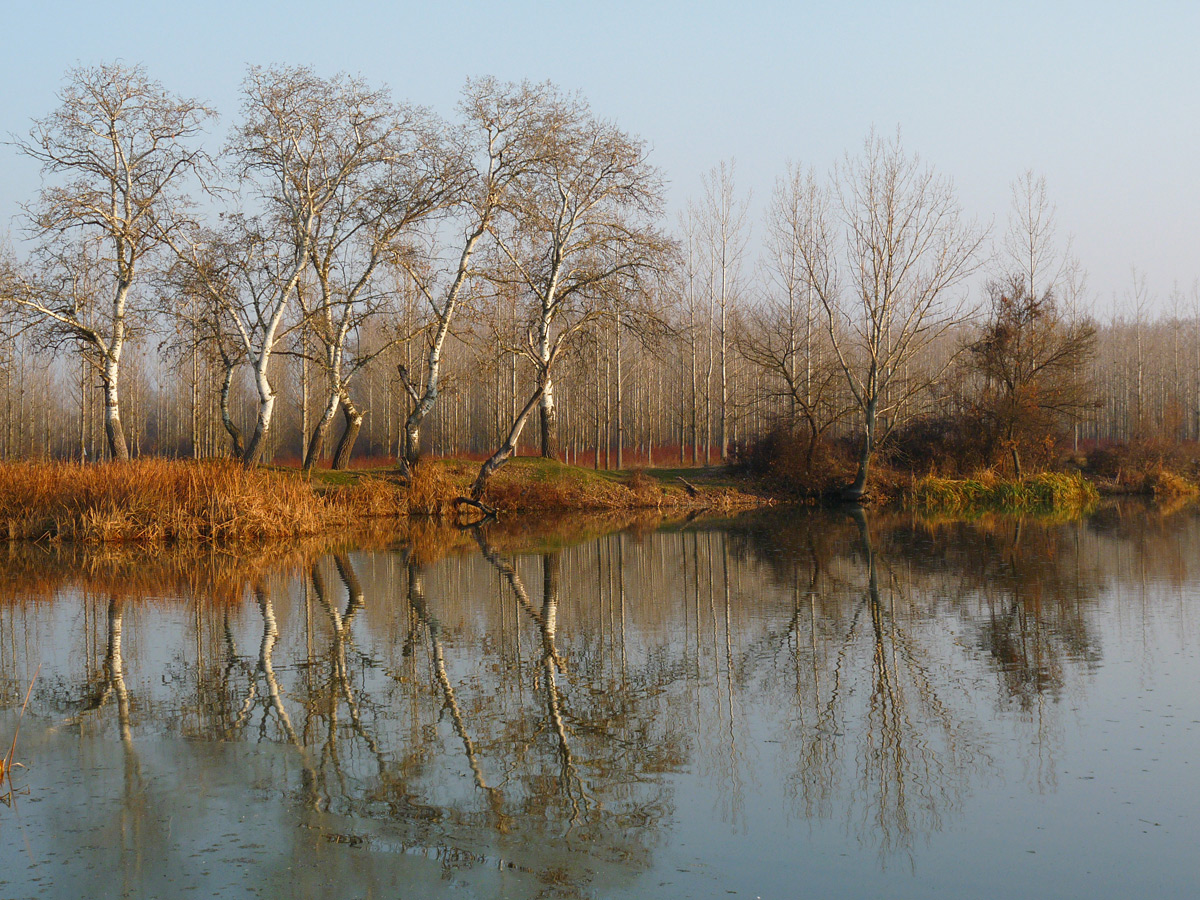 photo "***" tags: nature, water