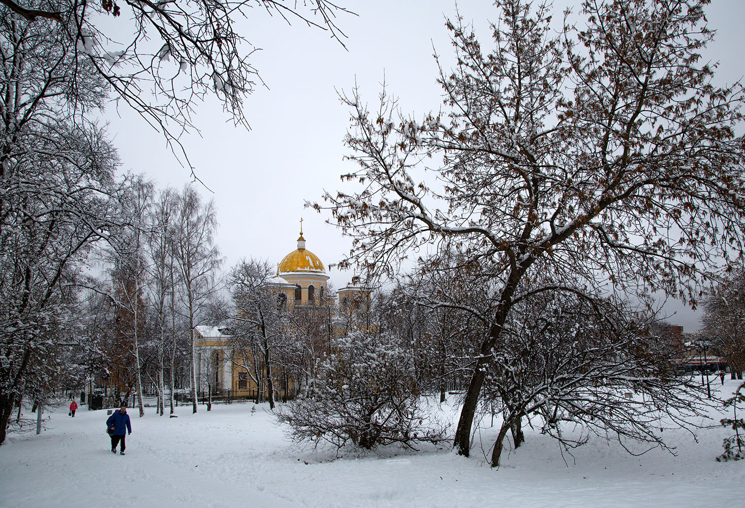 фото "В Петрозаводске наконец-то выпал снег..." метки: город, 
