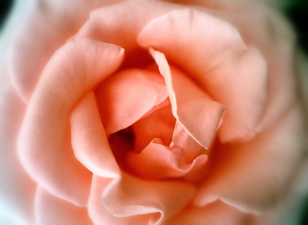 фото "***" метки: природа, 