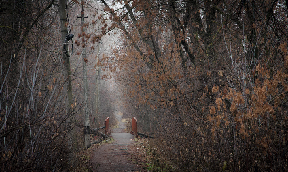 photo "***" tags: landscape, autumn, fog