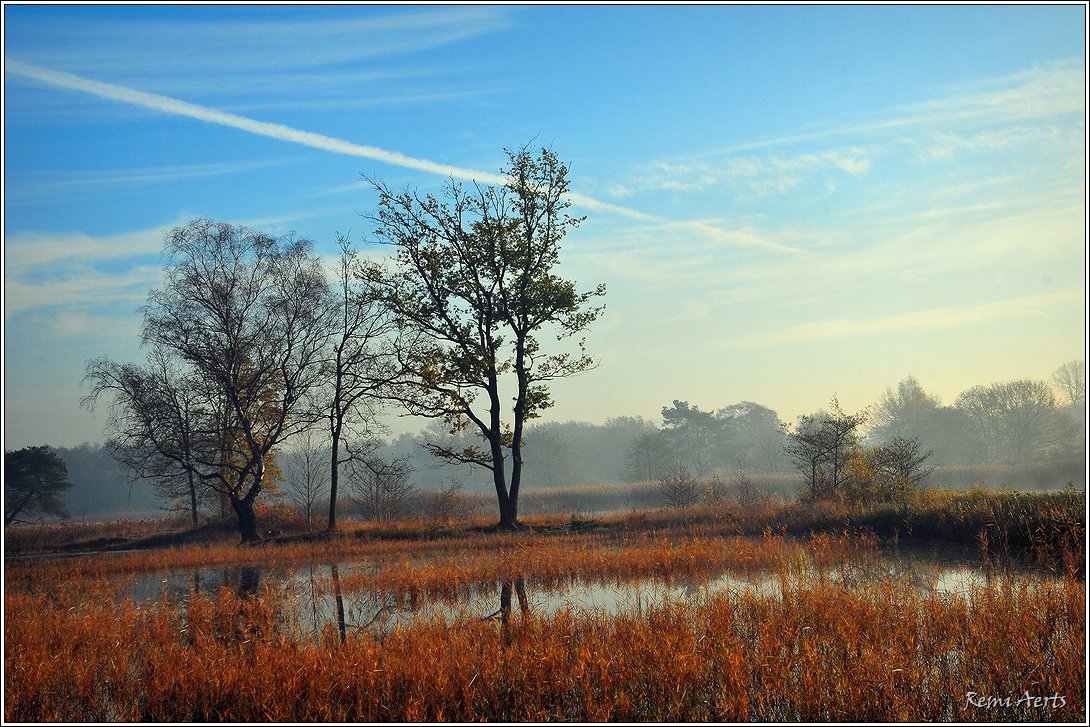 photo "***" tags: landscape, nature, 