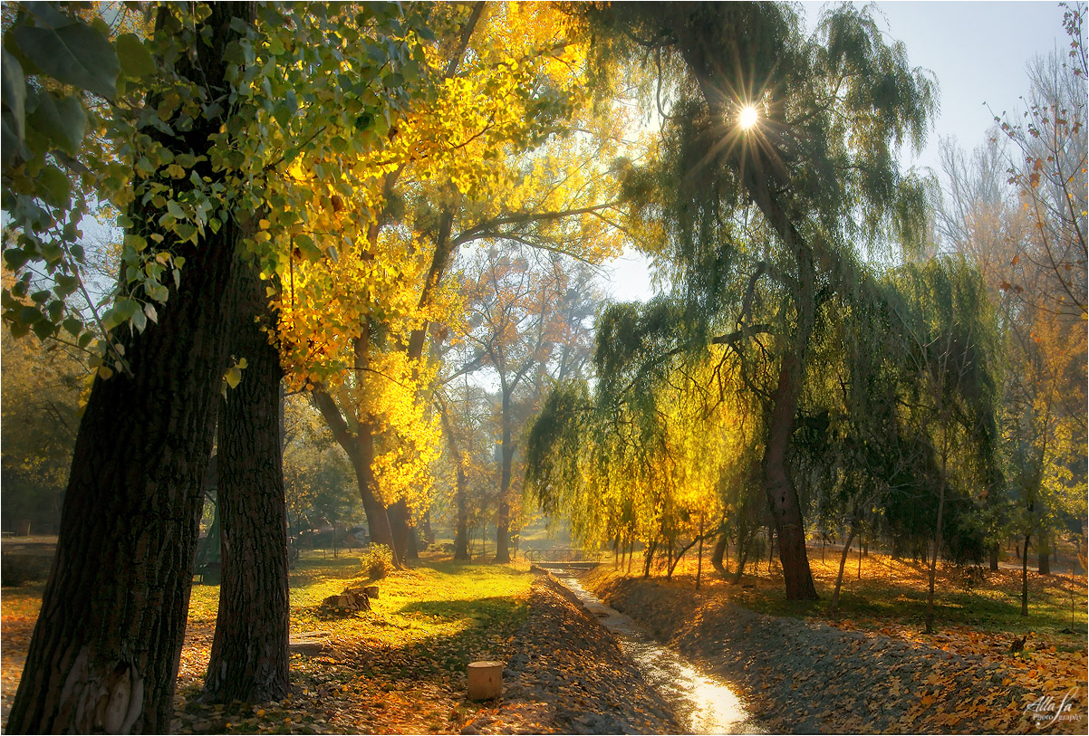 photo "***" tags: landscape, nature, fragment, 