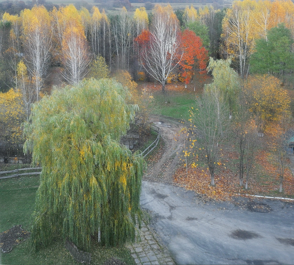 Осень в Раменском