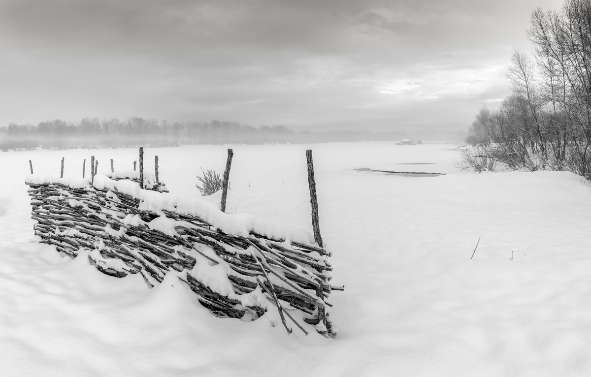 фото "И выпал снег." метки: черно-белые, природа, пейзаж, 