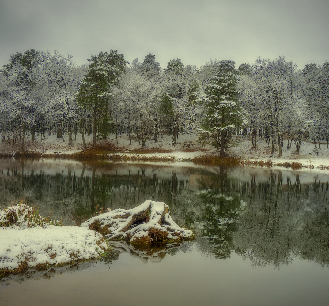 фото "И даже пень, в осенний день...)" метки: пейзаж, природа, панорама, деревья, лес, озеро, осень, снег, утро