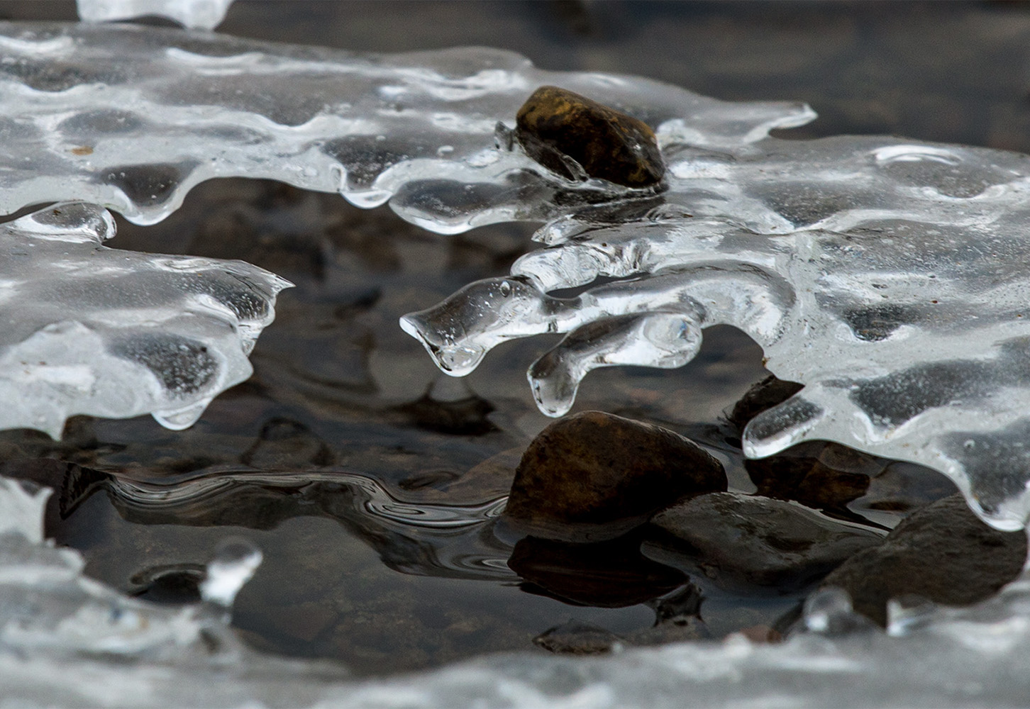 photo "***" tags: fragment, 