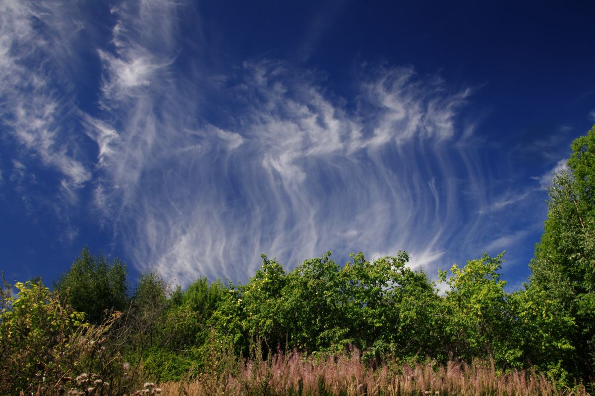 photo "Cloud fireworks" tags: landscape, clouds, forest, summer
