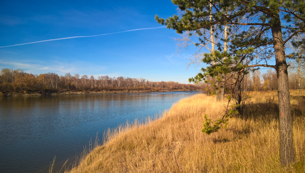 photo "on shore" tags: landscape, autumn, coast, river, water