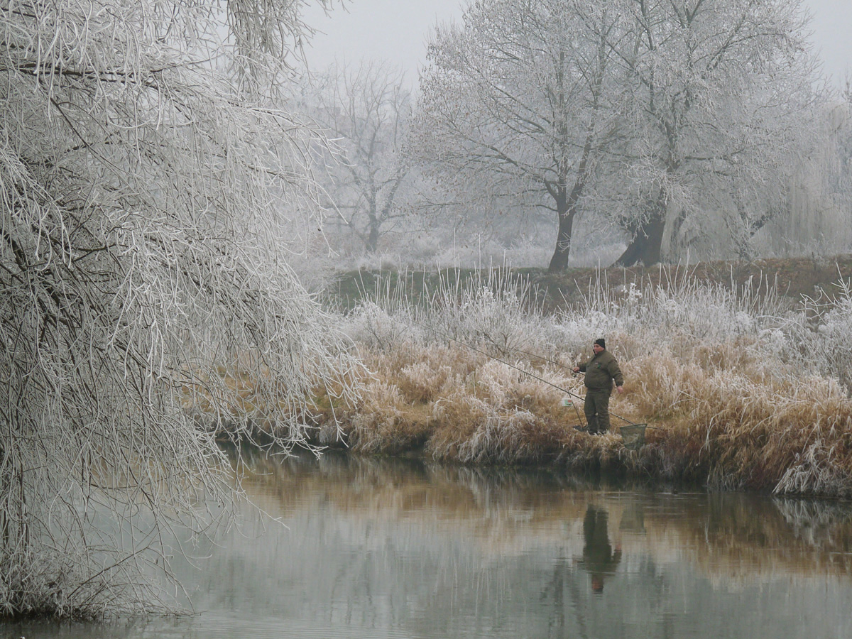 photo "***" tags: nature, winter