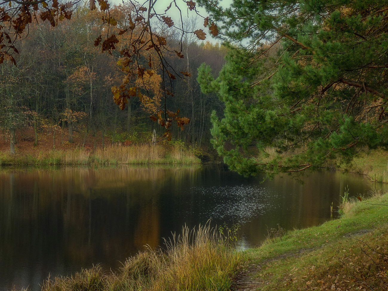 photo "***" tags: landscape, nature, autumn, forest, lake, morning, sky, water, тучи