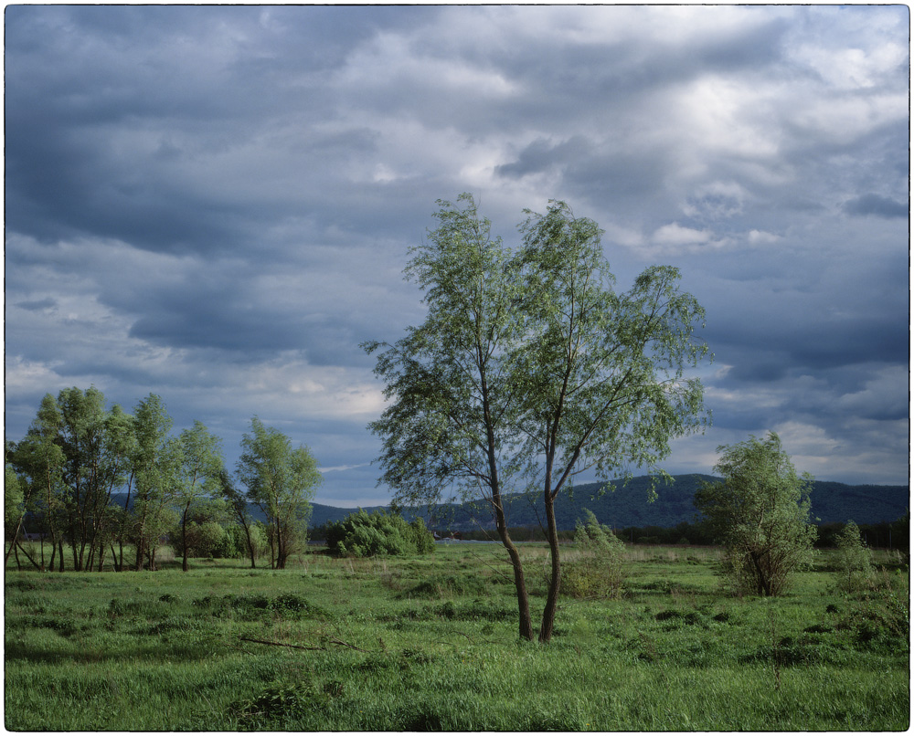 photo "***" tags: landscape, nature, 120, 6x7, Kodak Ektachrome E100G, Mamiya RZ67