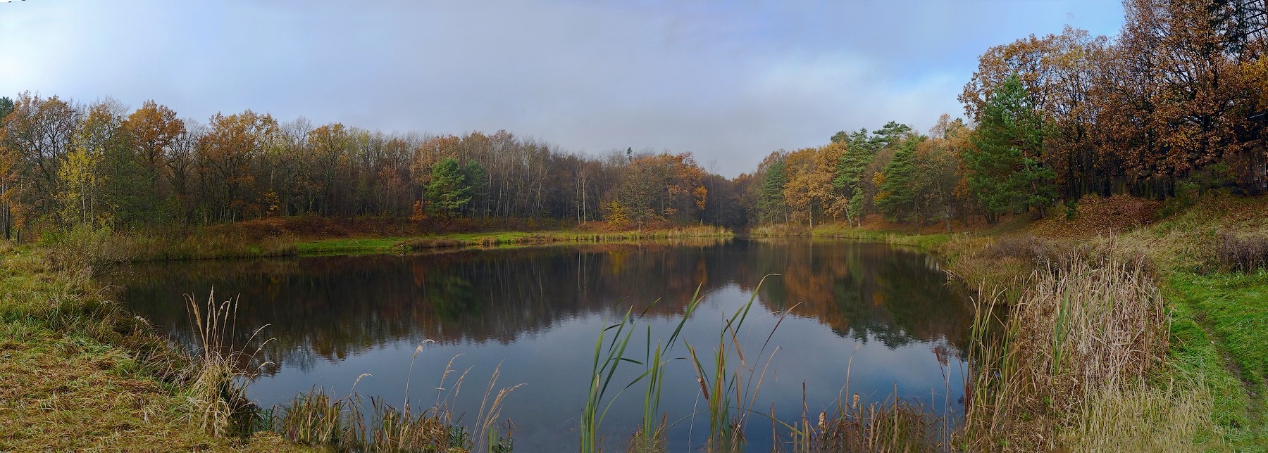 фото "Про осеннее лесное озерко..." метки: пейзаж, природа, панорама, берег, вода, лес, небо, озеро, осень, солнце, трава